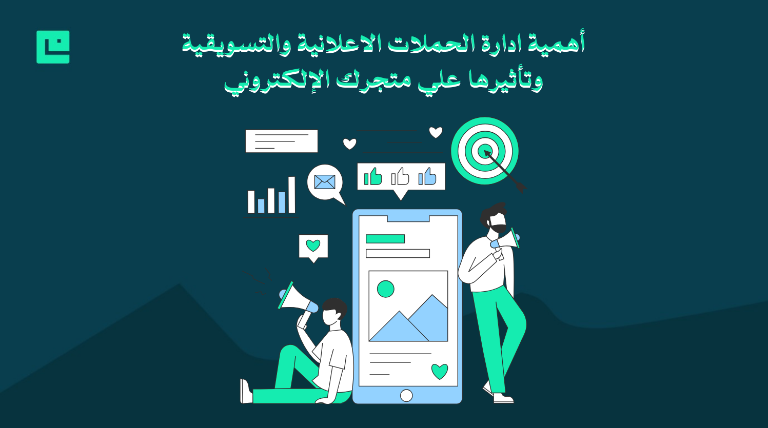 ادارة الحملات الاعلانية